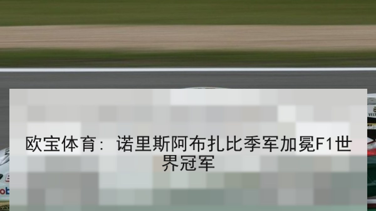 欧宝体育: 诺里斯阿布扎比季军加冕F1世界冠军 欧宝体育: 诺里斯阿布扎比季军加冕F1世界冠军